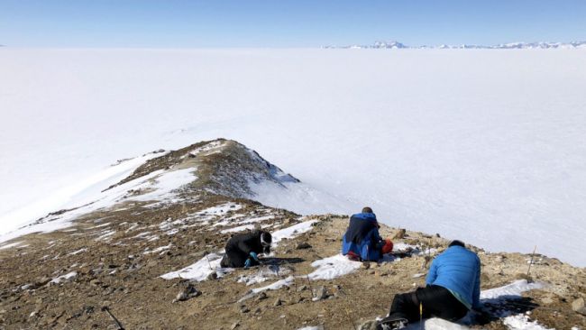 Scientists from the MICROBIAN project installing open top chambers near the PEA station. - © International Polar Foundation