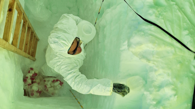 Sarah Wauthy from the ULB sampling snow in a trench she dug while doing work for the PASPARTOUT project - &copy; International Polar Foundation, Sarah Wauthy ULB