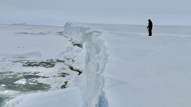 Alain Hubert at the coast looking for a good spot to unload the ship - © International Polar Foundation