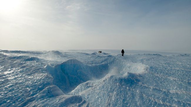 Sastrugis in blue ice field - © International Polar Foundation