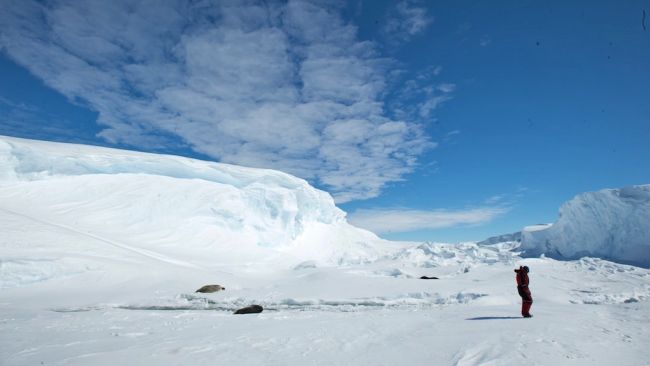 The King Baudouin Ice Shelf - © International Polar Foundation / Alain Hubert