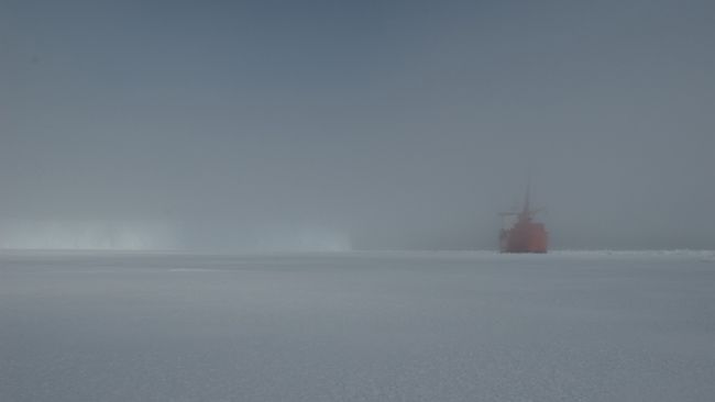 The Mary Arctica near the coast of Antarctica - © International Polar Foundation - René Robert