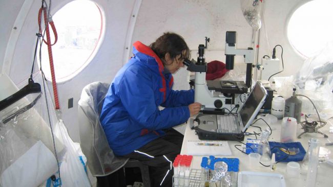 Annick Wilmotte Studying Samples - © International Polar Foundation