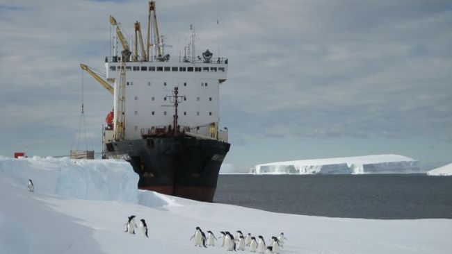 Census of Antarctic Marine Life (CAML)
