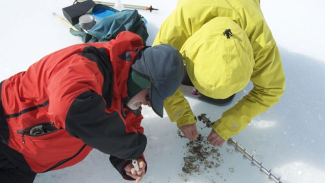 The BELDIVA team collecting samples from a cryoconite - © International Polar Foundation