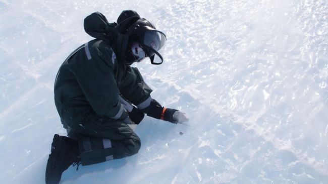 Meteorite in Antarctica - © JARE 51 / IPF