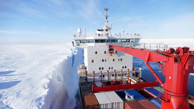 Unloading of Mary Arctica & arrival of Toyota Hiluxes