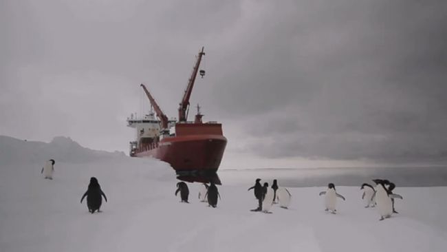 Unloading The Mary Arctica