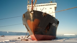 The Russian ice-class cargo dropped ancor on the sea ice in Crown Bay. - International Polar Foundation / René Robert