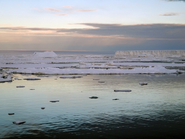 Crown Bay by night. Can you spot a few penguins on a drifting ice floe? - International Polar Foundation