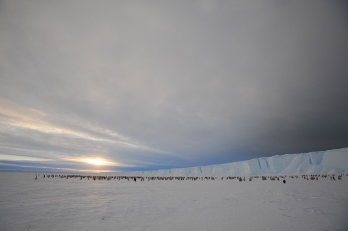 The newly-discovered 9,000-strong emperor penguin colony on Antarctica’s Princess Ragnhild Coast. - International Polar Foundation/Alain Hubert