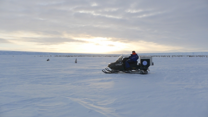 Princess Elisabeth Antarctica skidoo at the penguin colony. - International Polar Foundation