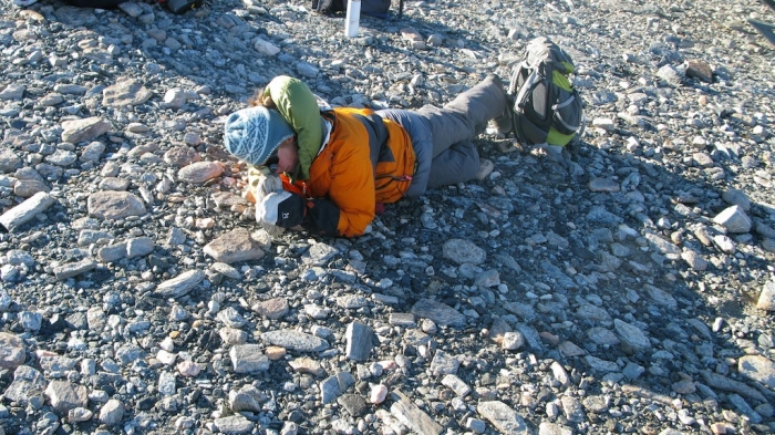 Marlina is closely examining a sample. - International Polar Foundation
