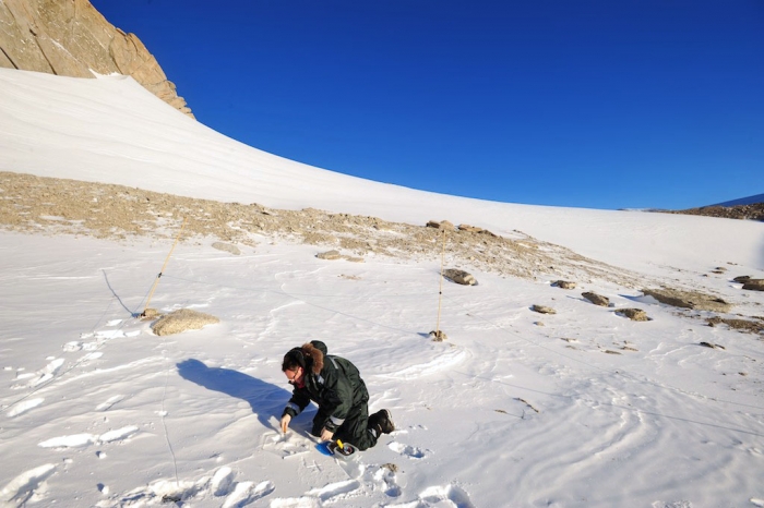 Accompanying Elie Verleyen to the Pingvinane Nunataks, some 14 km away from the station - International Polar Foundation