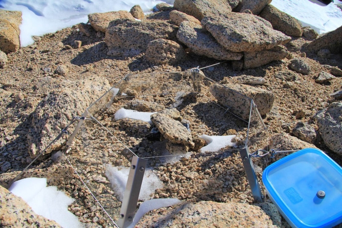 Open top chambers are mini-greenhouses used to artificially increase the temperature of a small area of soil in order to mimic future climate warming and see how the microbial communities change in response - International Polar Foundation